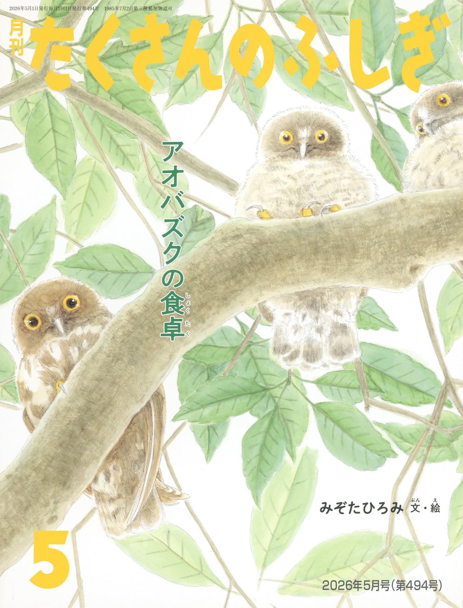 アオバズクの食卓 (たくさんのふしぎ2026年5月号) | みぞた ひろみ |本